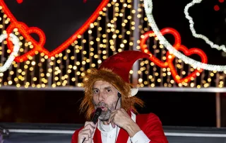experiencia-navibus-luces-navidad