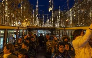 navibus-luces-navidad-excursion