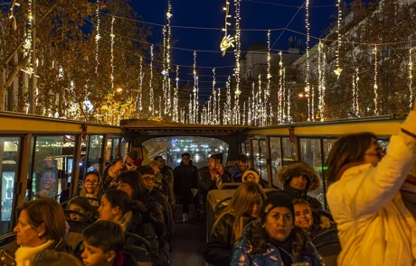 navibus-luces-navidad-excursion